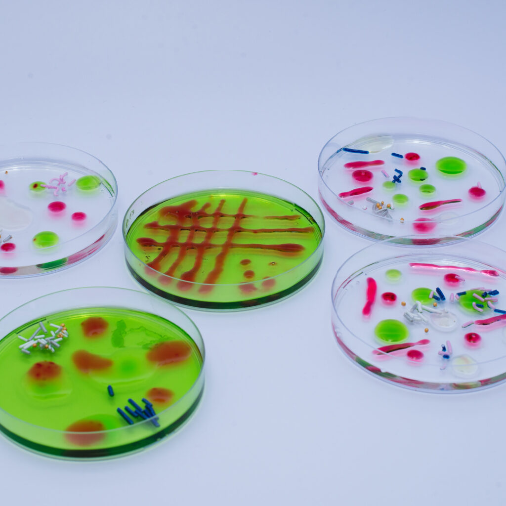 jelly petri dish bacteria for Halloween