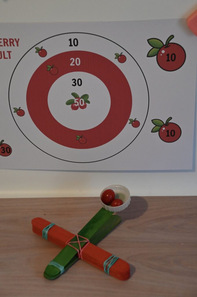 Cranberry catapult and target for a STEM Challenge