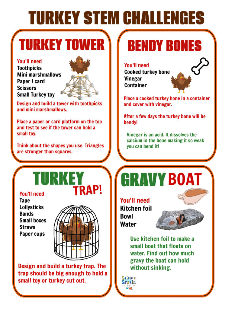 Turkey STEM Challenges