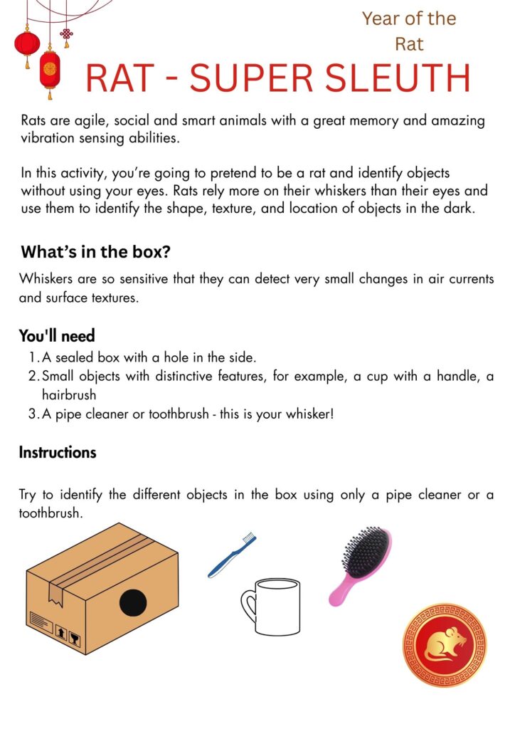 Rat Super Sleuth Science Activity