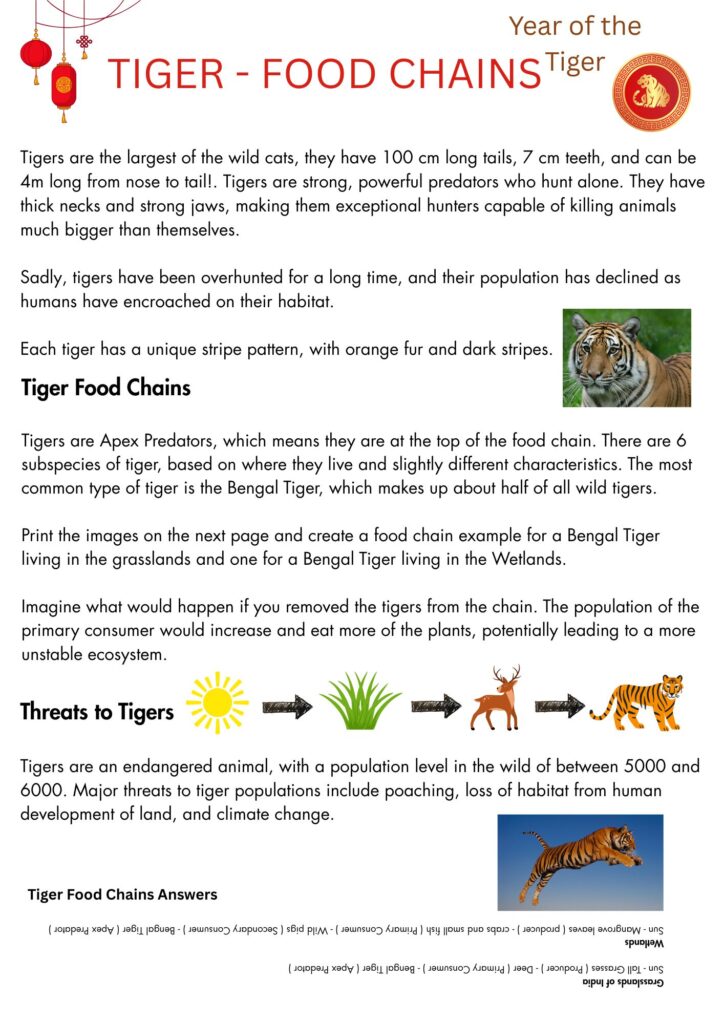 tiger food chain activity for Chinese New Year