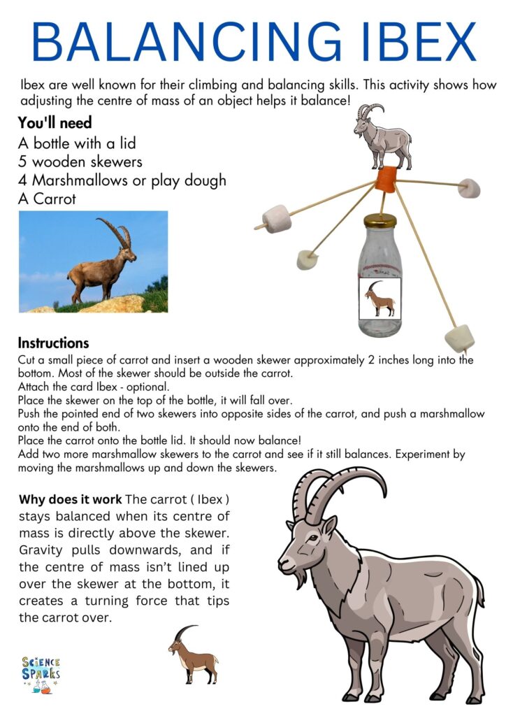Balancing Ibex STEM Challenge