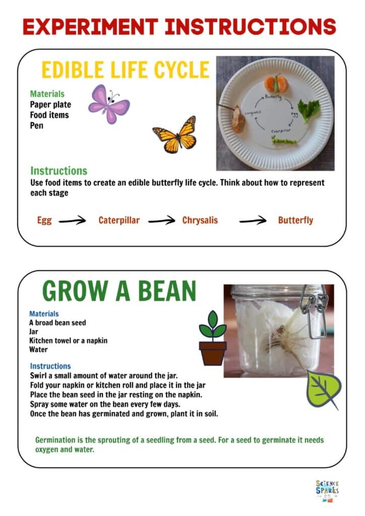 World Book Day fortune Teller Template Activity Instructions page 2