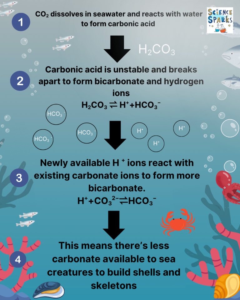 Ocean Acidification Investigation