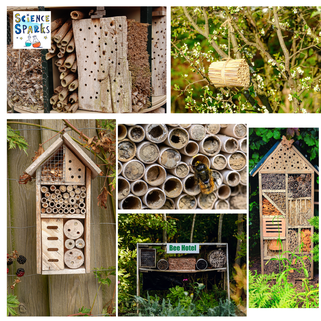 Collage of insect hotels made from natural materials