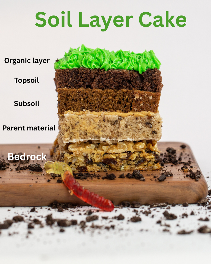 Cake soil layer model. model shows 5 layers of soil using granola bars and different types of cakes covered in green icing.