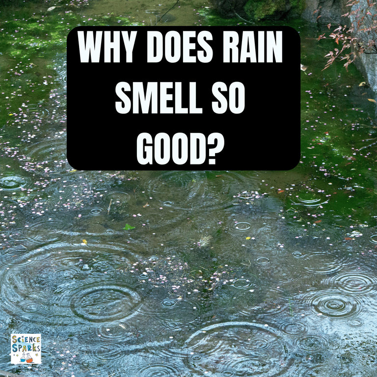 Why does rain smell so good?