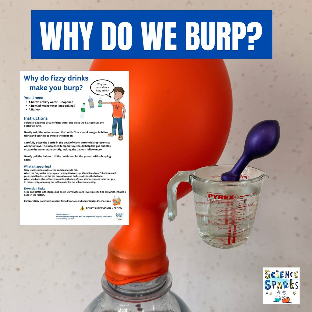 why do we burp