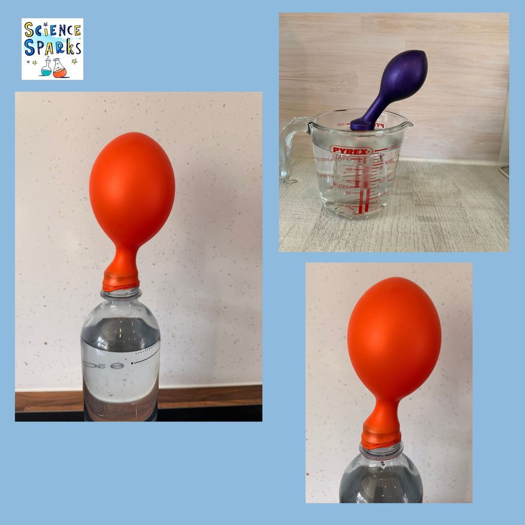 balloon over the top of a bottle of fizzy water to demonstrate why we burp
